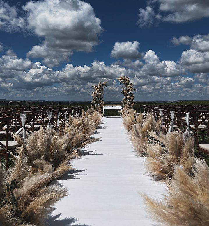 Corredor de cerimônia ao ar livre com capim-dos-pampas e arco sob céu azul